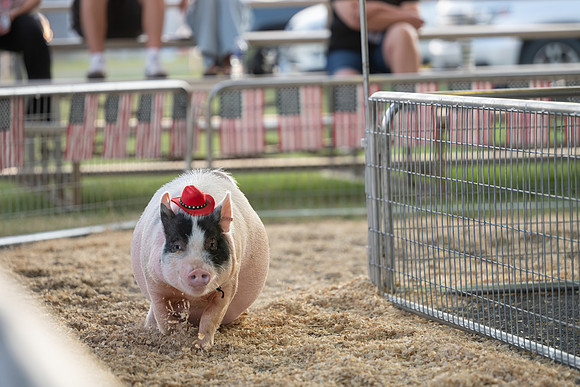 Page County Fair FULL SIZE-101