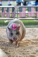 Page County Fair FULL SIZE-109