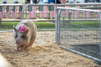 Page County Fair FULL SIZE-108