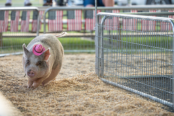 Page County Fair FULL SIZE-108