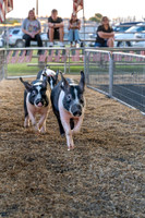 Page County Fair FULL SIZE-110