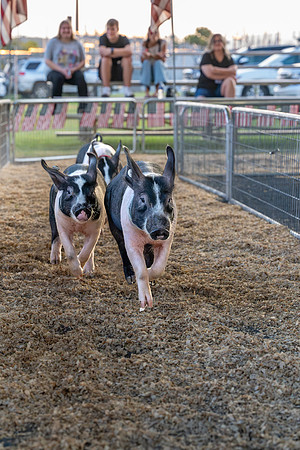 Page County Fair FULL SIZE-110