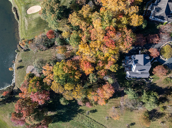 40 Shadow Crest Lane WEB-122