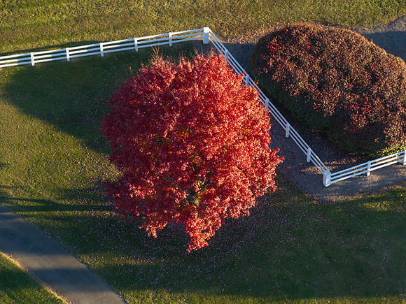 40 Shadow Crest Lane WEB-130
