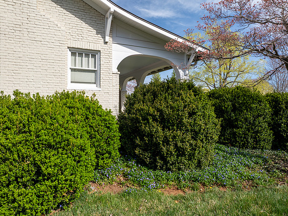 3833 Peakland WEB-116
