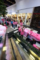 RR I Pink I Can PRINT