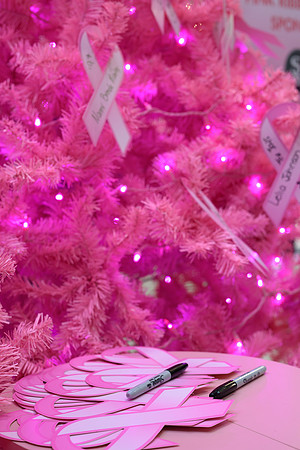 RR I Pink I Can PRINT-141