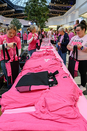 RR I Pink I Can PRINT-110