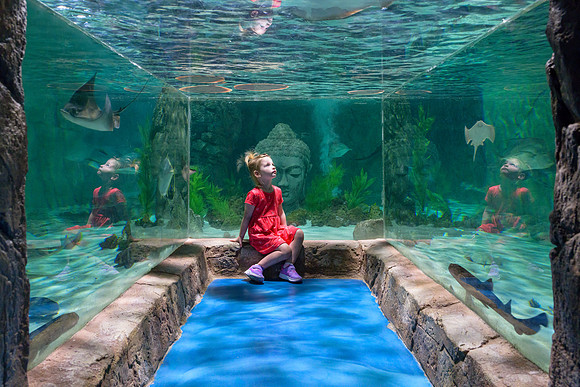 RR AquaZoo PRINT-173