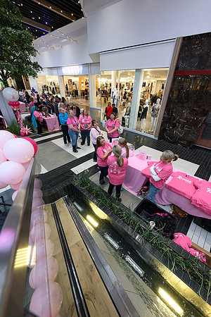 RR I Pink I Can WEB-101