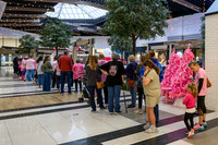 RR I Pink I Can WEB-104