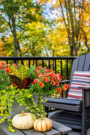 40 Shadow Crest Lane WEB-140