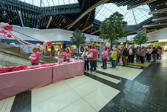 RR I Pink I Can PRINT-103