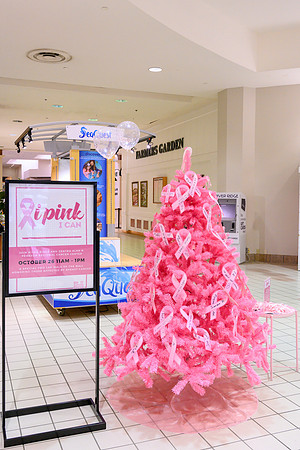 I Pink I Can PRINT-105