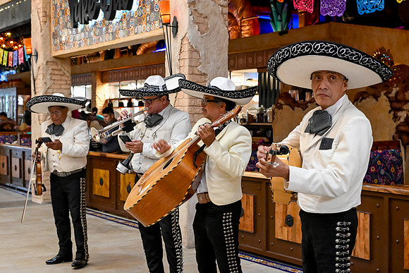 RR Family Fiesta 2024 FULL-155