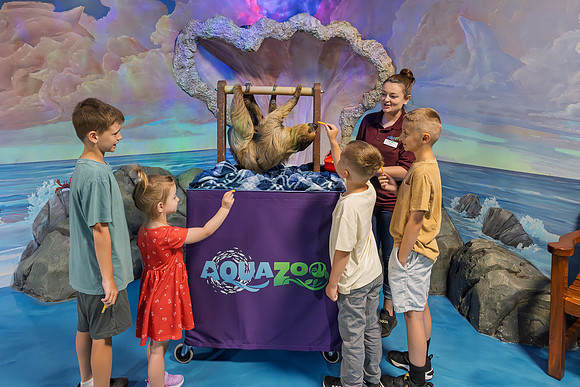 RR AquaZoo WEB-153
