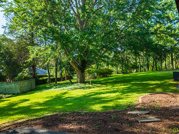 509 Trents Ferry WEB-133