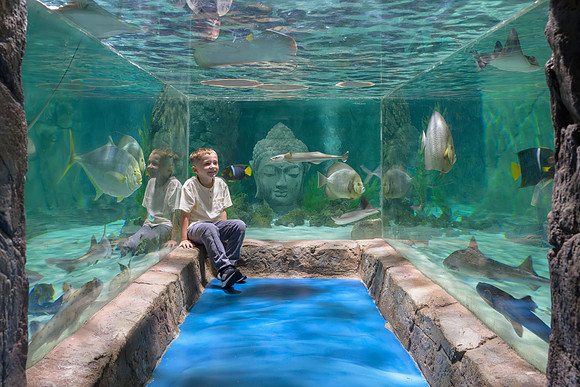 RR AquaZoo PRINT-178