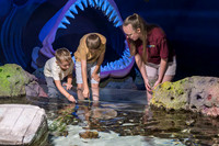 RR AquaZoo PRINT-107