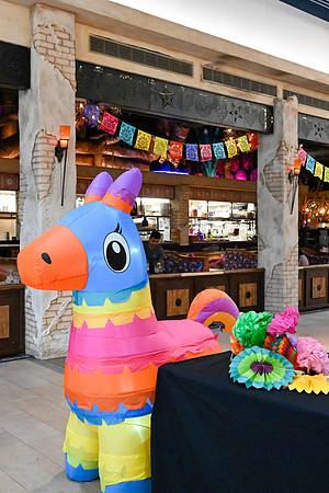RR Family Fiesta 2024 FULL-109