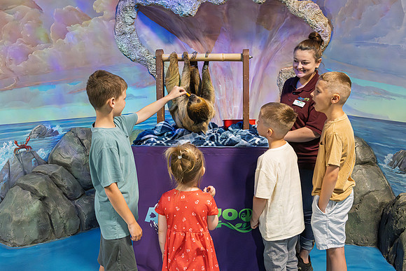 RR AquaZoo PRINT-159