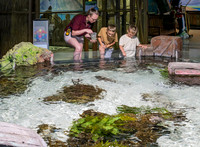 RR AquaZoo June 2025 PRINT
