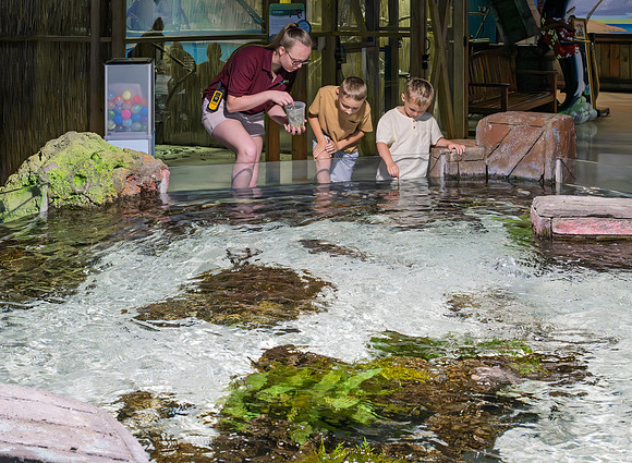 RR AquaZoo PRINT-101