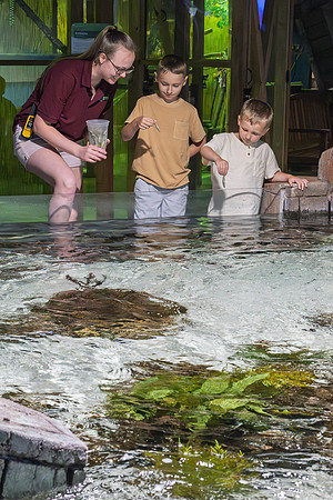 RR AquaZoo WEB-104
