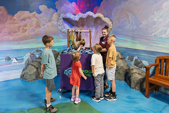 RR AquaZoo WEB-158