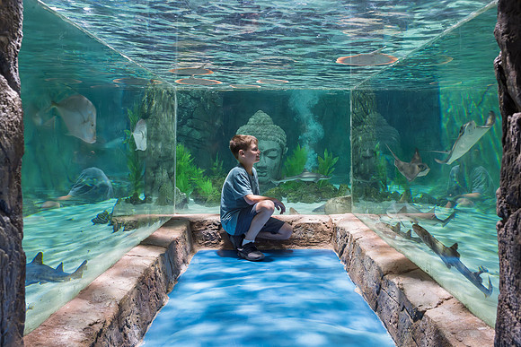 RR AquaZoo WEB-175