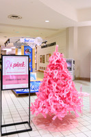 I Pink I Can WEB-105
