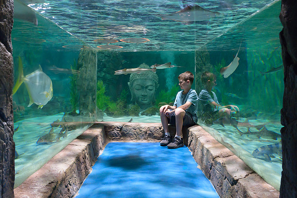 RR AquaZoo WEB-176