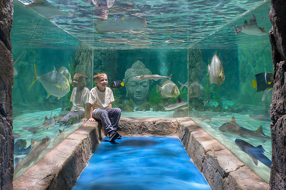 RR AquaZoo WEB-178