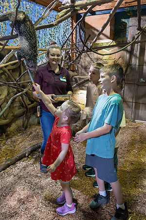RR AquaZoo WEB-149