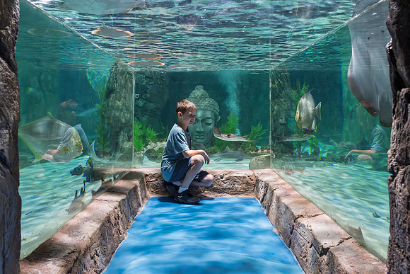 RR AquaZoo WEB-174