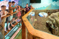 RR AquaZoo WEB-109