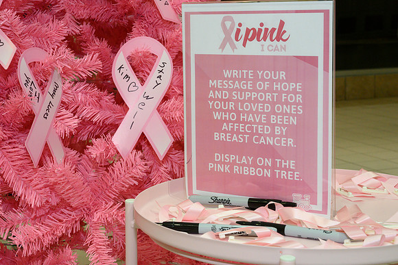 I Pink I Can PRINT-207