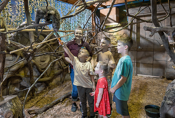 RR AquaZoo WEB-144