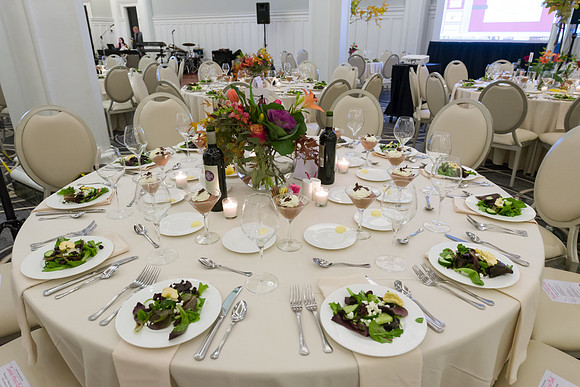 Sackett Heart Ball 2018 WEB-137