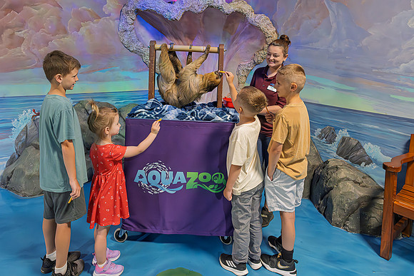 RR AquaZoo WEB-154