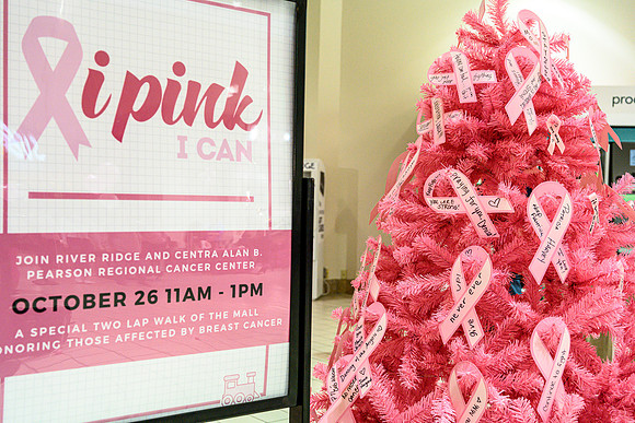 I Pink I Can PRINT-182