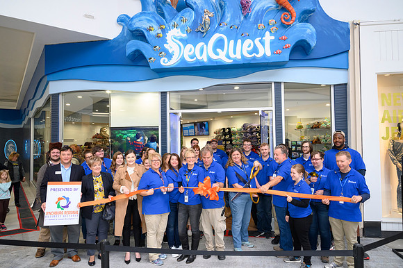 RR SeaQuest Opening PRINT-110