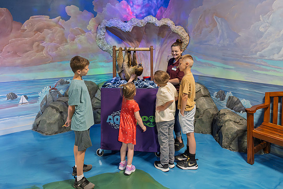 RR AquaZoo WEB-157