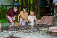 RR AquaZoo WEB-105