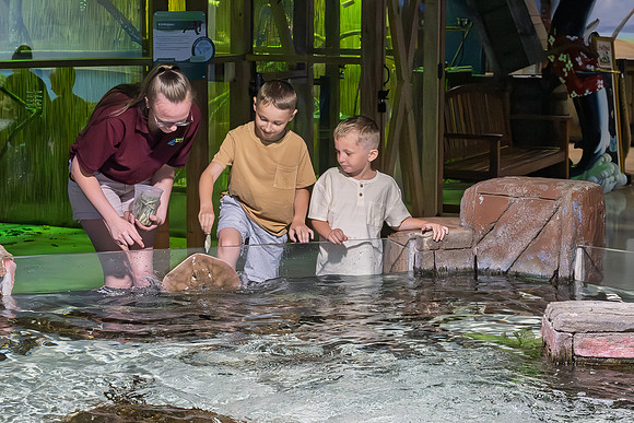 RR AquaZoo WEB-105