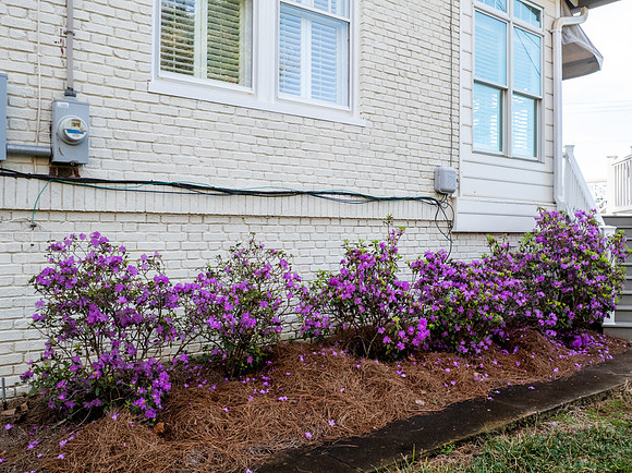 3833 Peakland WEB-117