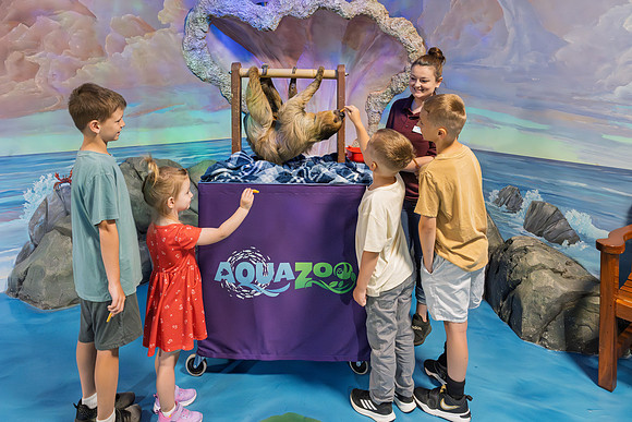RR AquaZoo PRINT-155