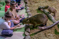 RR AquaZoo WEB-115