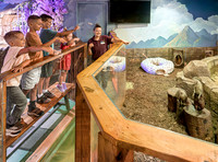 RR AquaZoo WEB-108