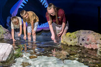 RR AquaZoo WEB-106
